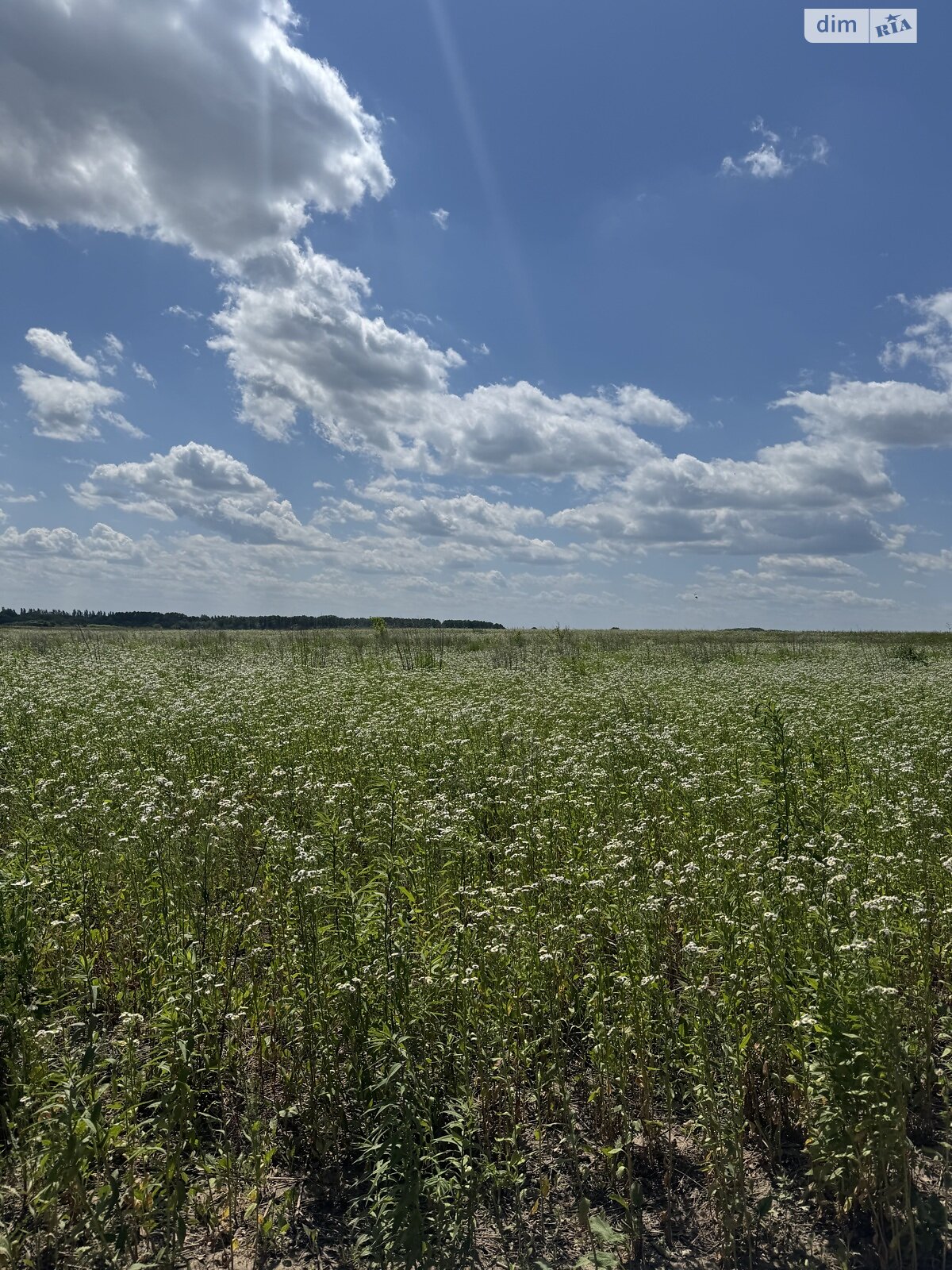 Земля під житлову забудову в Вінниці, район Барське шосе, площа 6 соток фото 1 Земля під житлову забудову в Вінниці, район Барське шосе, площа 6 соток фото 1