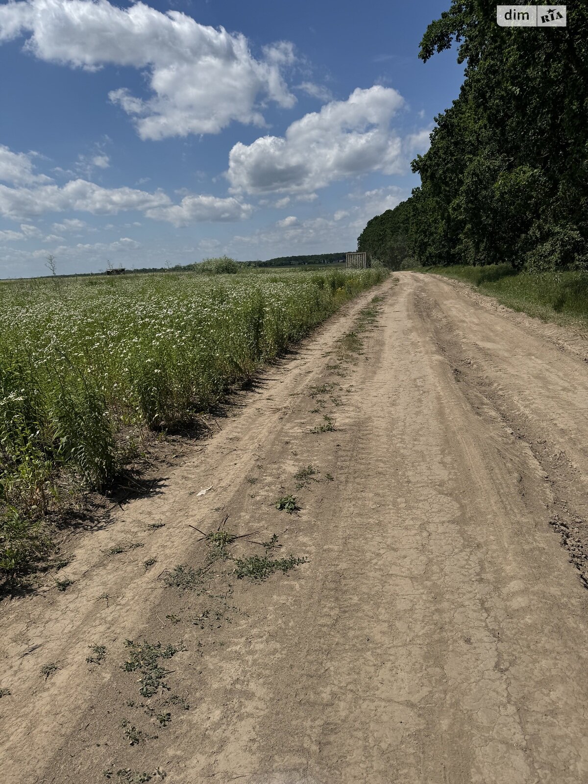 Земля під житлову забудову в Вінниці, район Барське шосе, площа 6 соток фото 1 Земля під житлову забудову в Вінниці, район Барське шосе, площа 6 соток фото 1
