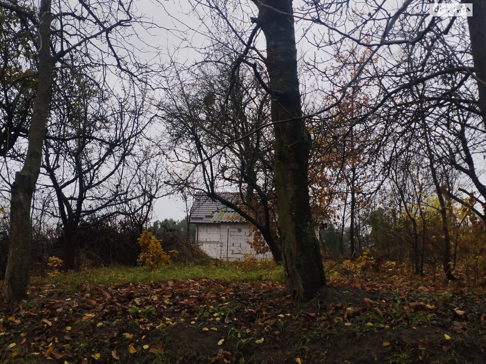 Земельный участок под жилую застройку в Агрономичном, площадь 5 соток фото 1 Земельный участок под жилую застройку в Агрономичном, площадь 5 соток фото 1