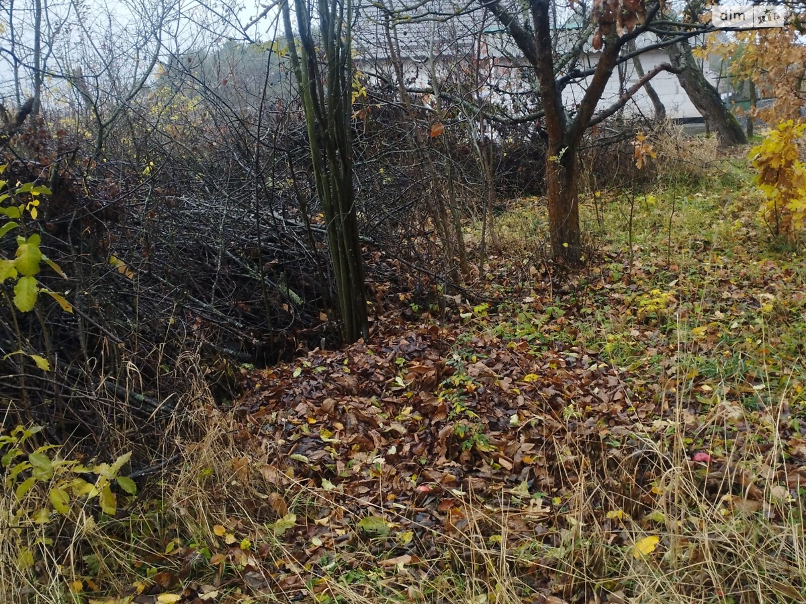 Земельный участок под жилую застройку в Агрономичном, площадь 5 соток фото 1 Земельный участок под жилую застройку в Агрономичном, площадь 5 соток фото 1