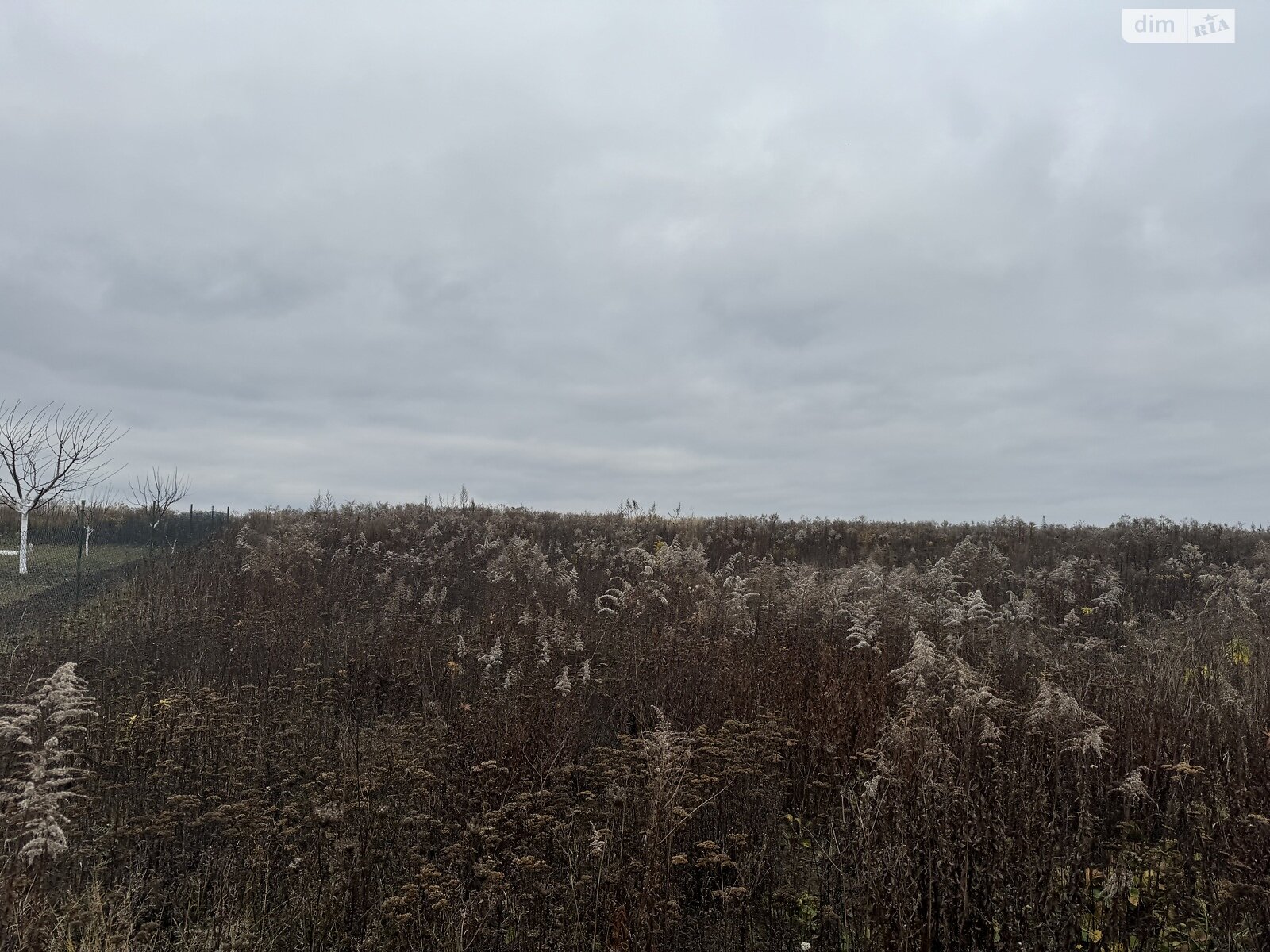 Земельный участок под жилую застройку в Агрономичном, площадь 6 соток фото 1