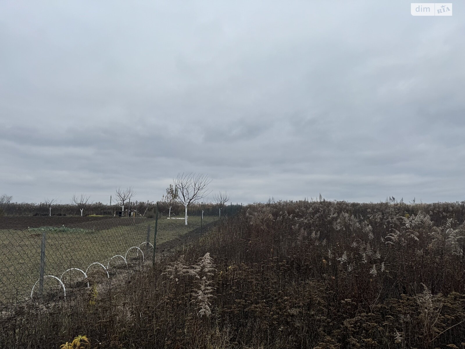 Земельный участок под жилую застройку в Агрономичном, площадь 6 соток фото 1