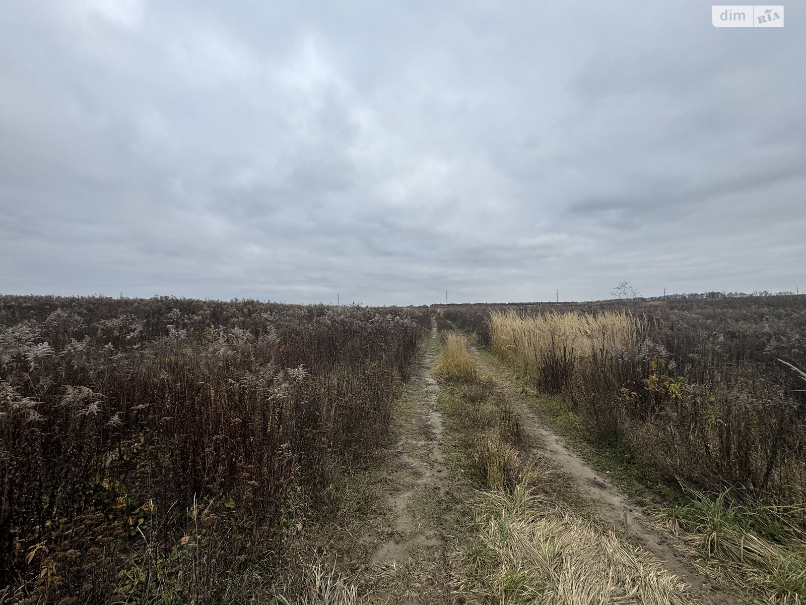 Земельный участок под жилую застройку в Агрономичном, площадь 6 соток фото 1