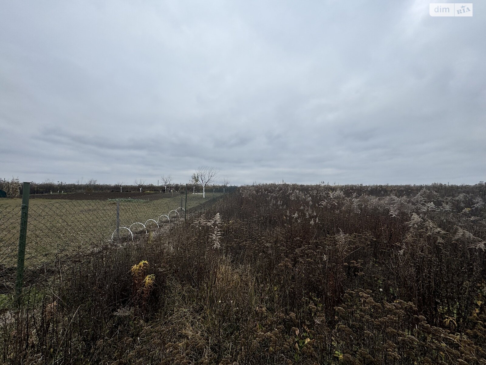 Земельный участок под жилую застройку в Агрономичном, площадь 6 соток фото 1