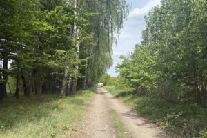 Земельна ділянка під житлову забудову в Березині, площа 69 соток фото 2