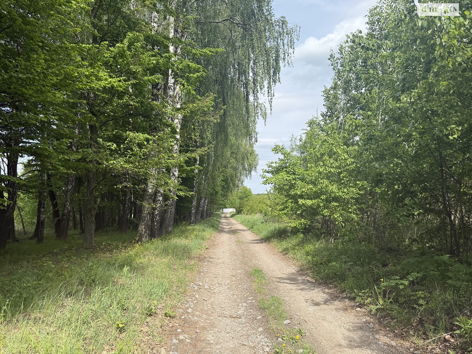 Земельный участок под жилую застройку в Березиной, площадь 69 соток фото 1 Земельный участок под жилую застройку в Березиной, площадь 69 соток фото 1