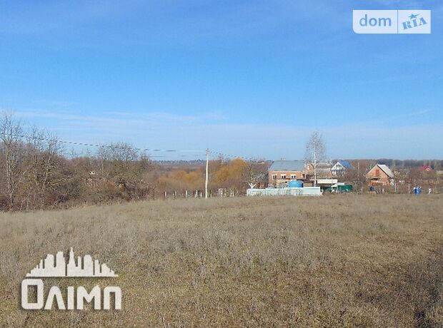 Земельна ділянка під житлову забудову в Березіній, площа 22 сотки фото 1 Земельна ділянка під житлову забудову в Березіній, площа 22 сотки фото 1