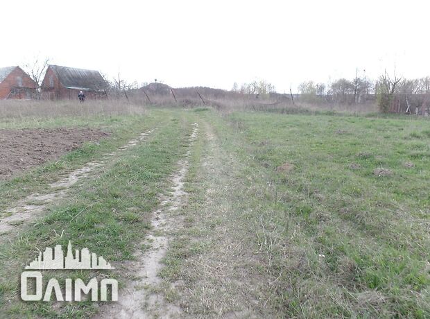 Земельна ділянка під житлову забудову в Березіній, площа 22 сотки фото 1 Земельна ділянка під житлову забудову в Березіній, площа 22 сотки фото 1