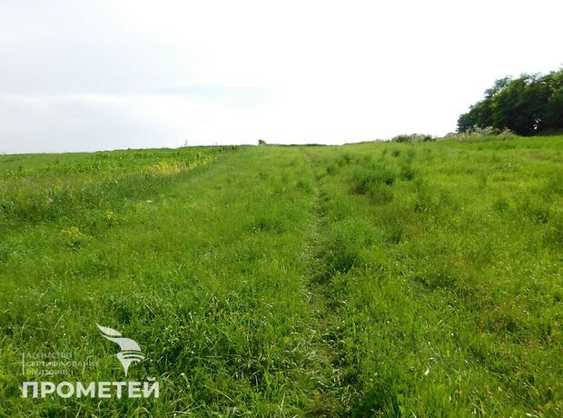 Земля під житлову забудову в селі Бохоники, площа 20 соток фото 1 Земля під житлову забудову в селі Бохоники, площа 20 соток фото 1