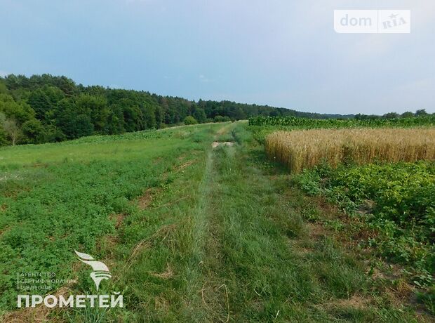 Земля під житлову забудову в селі Бохоники, площа 20 соток фото 1 Земля під житлову забудову в селі Бохоники, площа 20 соток фото 1