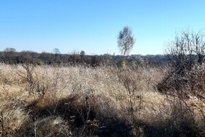 Земельный участок под жилую застройку в Бохониках, площадь 13 соток фото 2