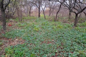 Земля под жилую застройку в Виннице, район Бучмы, площадь 16 соток фото 1