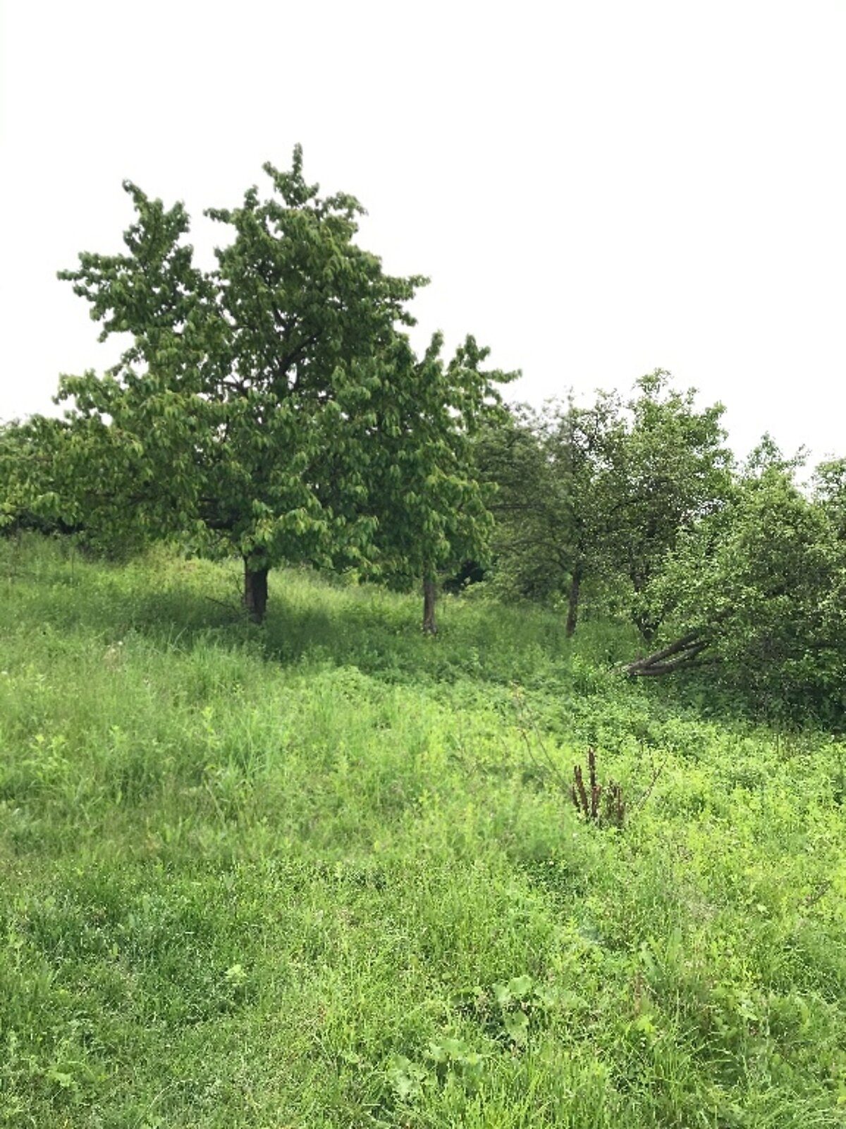 Земля під житлову забудову в Вінниці, район Бучми, площа 20 соток фото 1