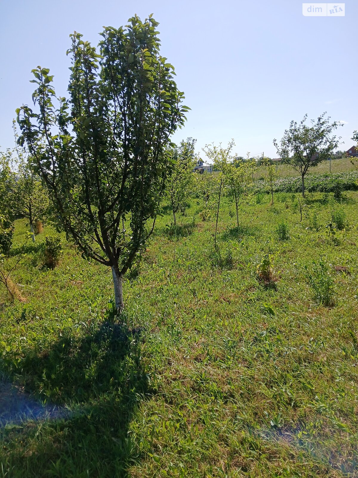 Земля под жилую застройку в Виннице, район Бучмы, площадь 6 соток фото 1