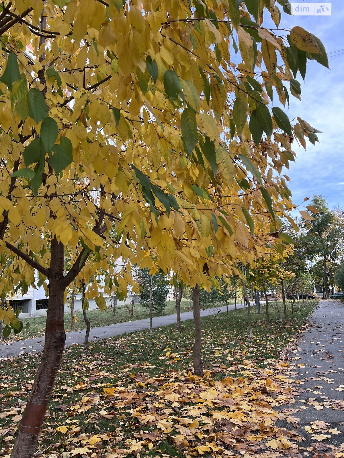 Земля под жилую застройку в Виннице, район Электросеть, площадь 19 соток фото 1