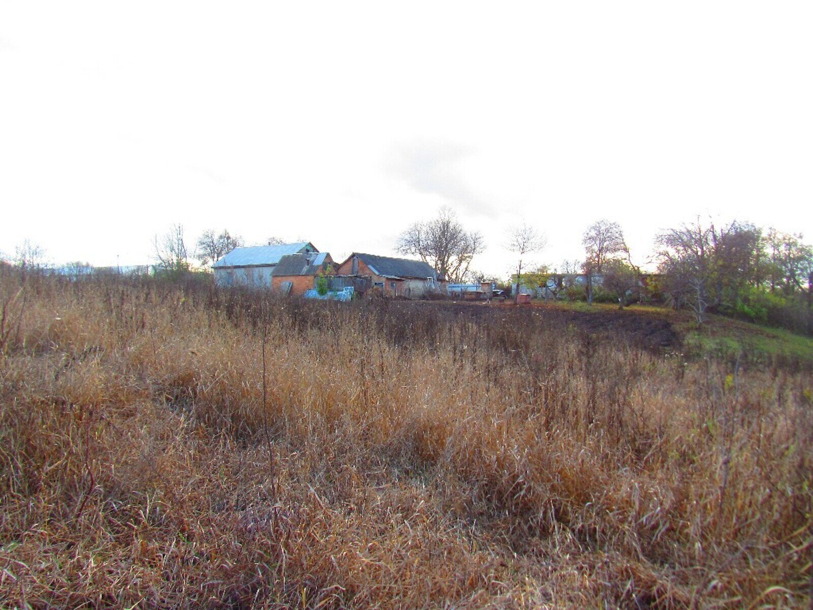 Земельна ділянка під житлову забудову в Гавришівці, площа 40 соток фото 1