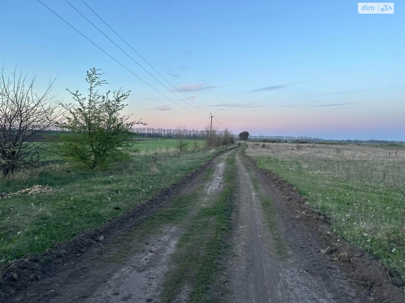 Земельна ділянка під житлову забудову в Гавришівці, площа 15 соток фото 1