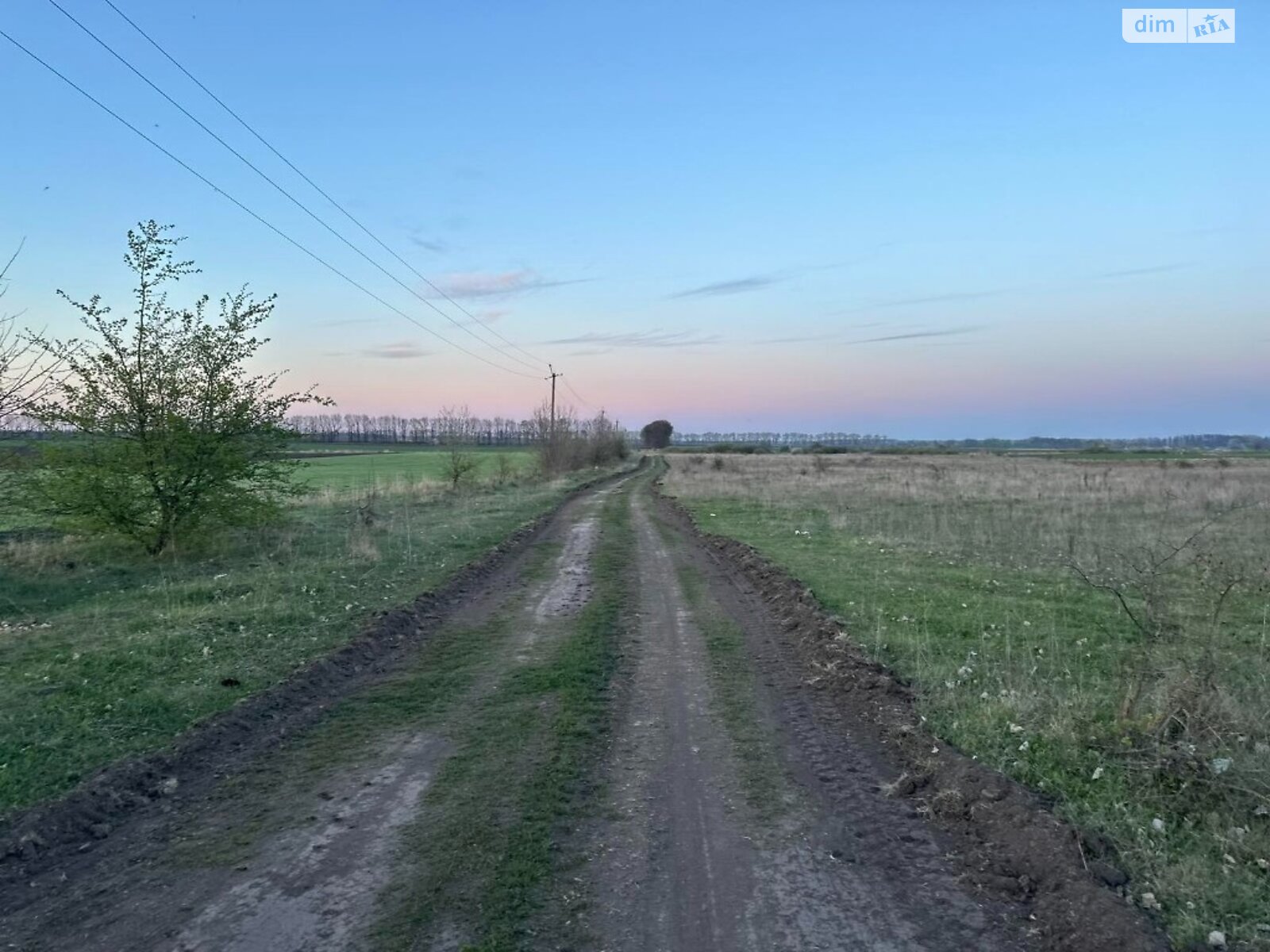 Земельна ділянка під житлову забудову в Гавришівці, площа 15 соток фото 1