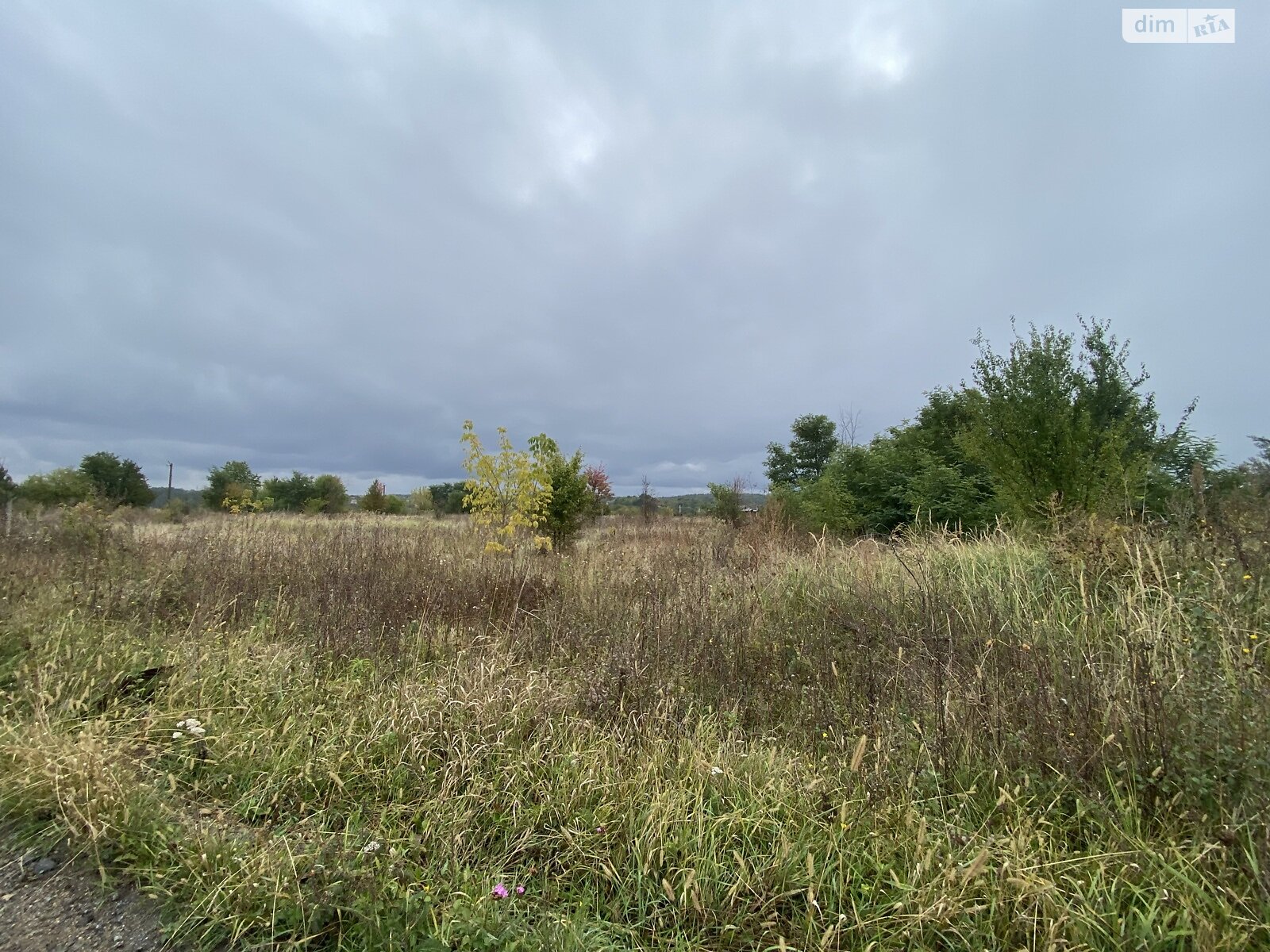 Земельна ділянка під житлову забудову в Прибузькому, площа 4 сотки фото 1 Земельна ділянка під житлову забудову в Прибузькому, площа 4 сотки фото 1