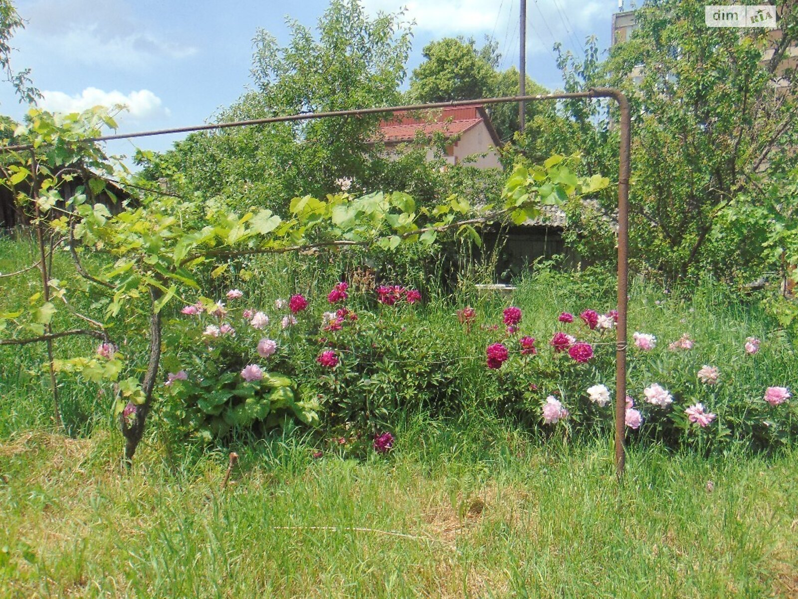 Земля под жилую застройку в Виннице, район Центр, площадь 8 соток фото 1