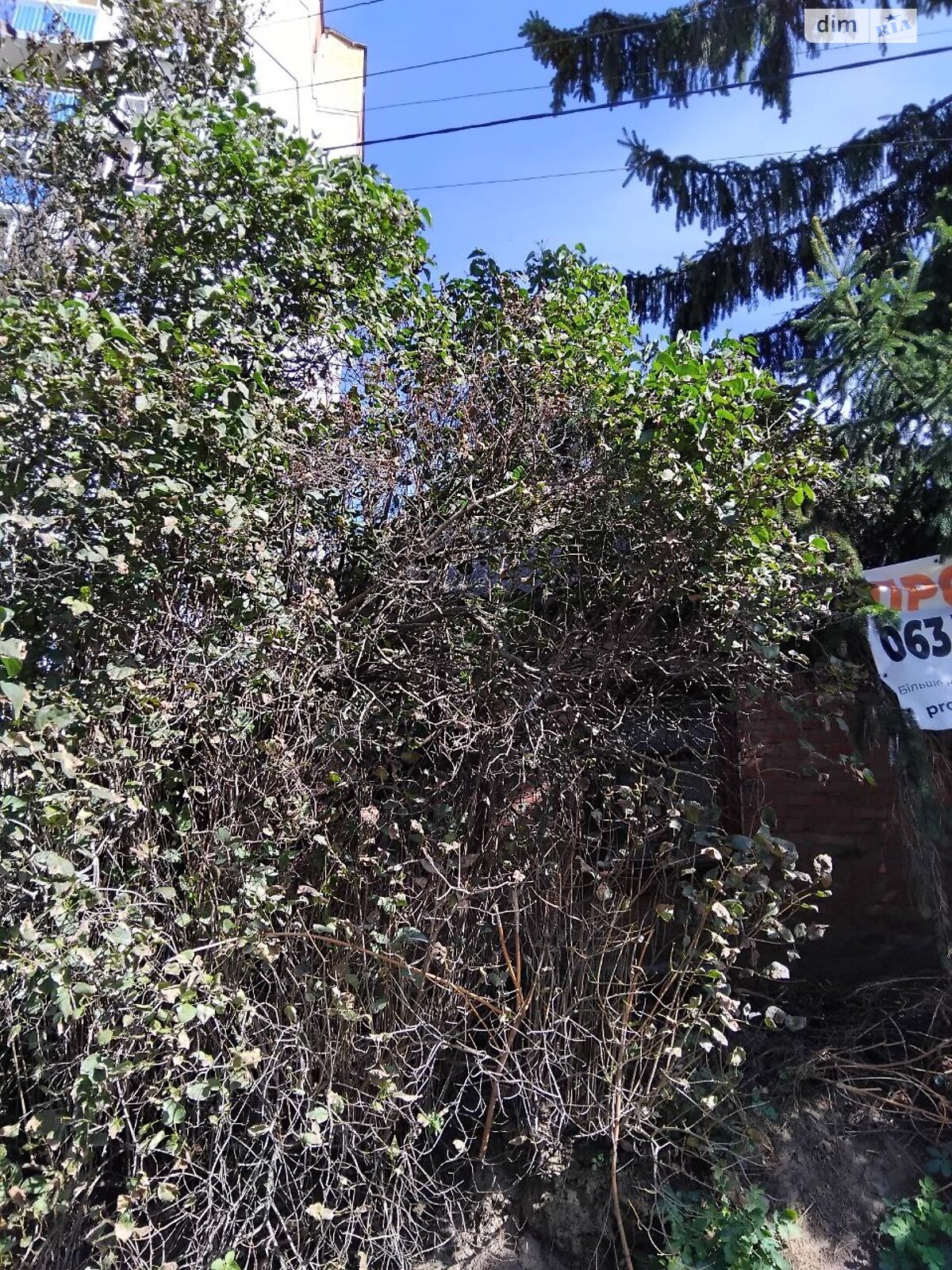 Земельна ділянка під житлову забудову в Вінниці, площа 5 соток фото 1