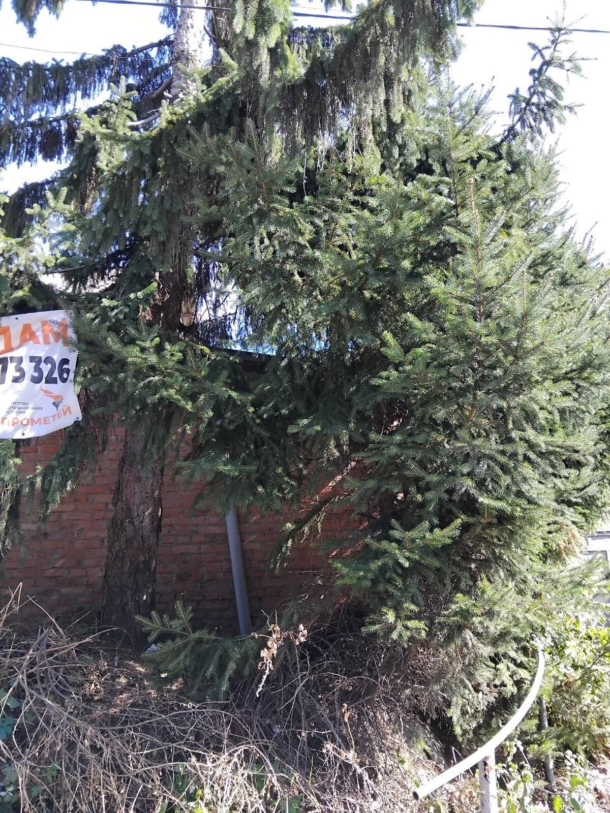 Земельна ділянка під житлову забудову в Вінниці, площа 5 соток фото 1