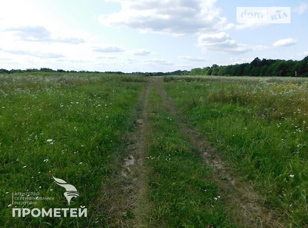 Земля під житлову забудову в селі Ксаверівка, площа 50 соток фото 1 Земля під житлову забудову в селі Ксаверівка, площа 50 соток фото 1