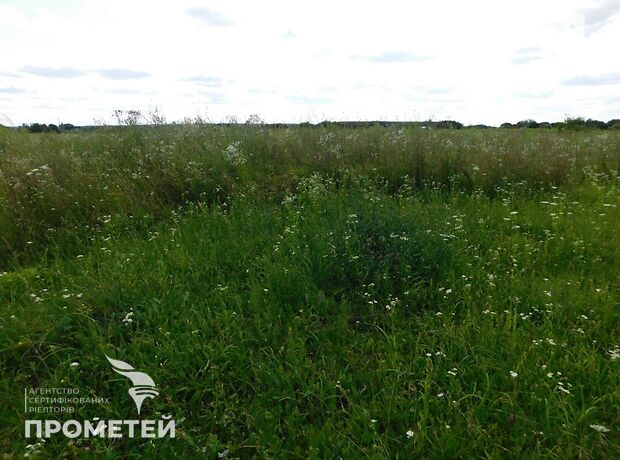 Земля під житлову забудову в селі Ксаверівка, площа 50 соток фото 1 Земля під житлову забудову в селі Ксаверівка, площа 50 соток фото 1