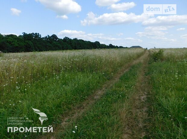 Земля під житлову забудову в селі Ксаверівка, площа 50 соток фото 1 Земля під житлову забудову в селі Ксаверівка, площа 50 соток фото 1