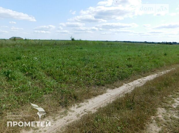 Земля під житлову забудову в селі Ксаверівка, площа 50 соток фото 1 Земля під житлову забудову в селі Ксаверівка, площа 50 соток фото 1