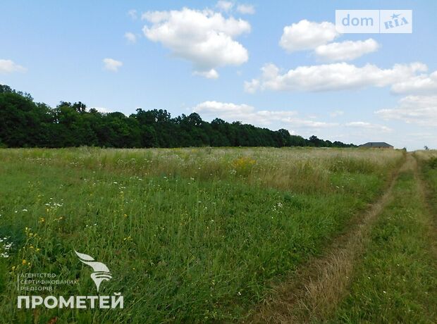 Земля під житлову забудову в селі Ксаверівка, площа 20 соток фото 1 Земля під житлову забудову в селі Ксаверівка, площа 20 соток фото 1
