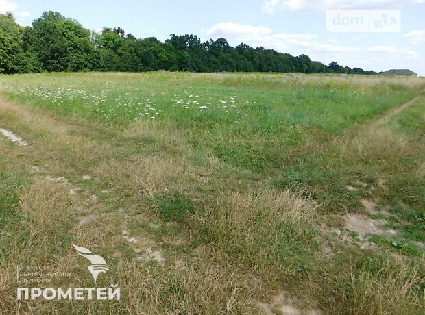 Земля під житлову забудову в селі Ксаверівка, площа 20 соток фото 1 Земля під житлову забудову в селі Ксаверівка, площа 20 соток фото 1