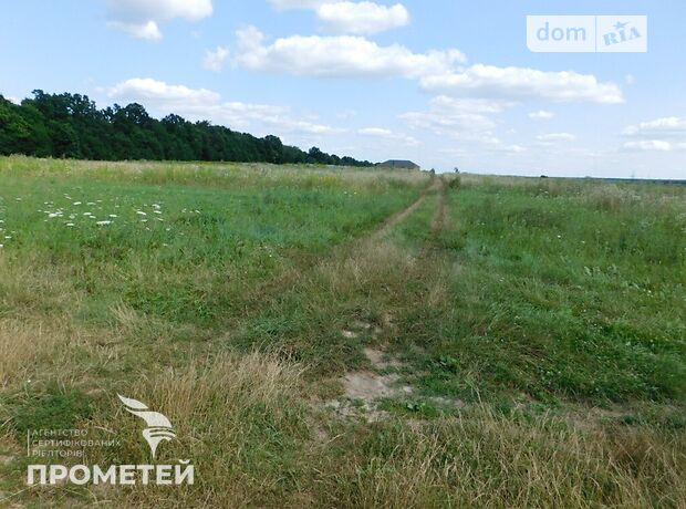 Земля під житлову забудову в селі Ксаверівка, площа 20 соток фото 1 Земля під житлову забудову в селі Ксаверівка, площа 20 соток фото 1