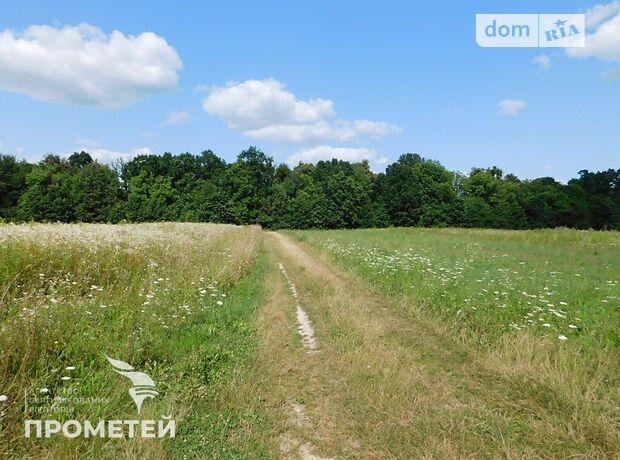 Земля під житлову забудову в селі Ксаверівка, площа 20 соток фото 1 Земля під житлову забудову в селі Ксаверівка, площа 20 соток фото 1