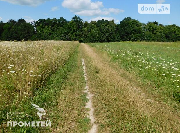 Земля під житлову забудову в селі Ксаверівка, площа 20 соток фото 1 Земля під житлову забудову в селі Ксаверівка, площа 20 соток фото 1