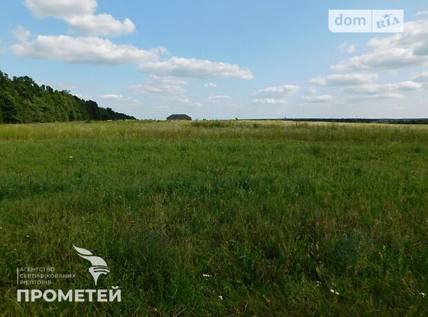 Земля під житлову забудову в селі Ксаверівка, площа 20 соток фото 1 Земля під житлову забудову в селі Ксаверівка, площа 20 соток фото 1