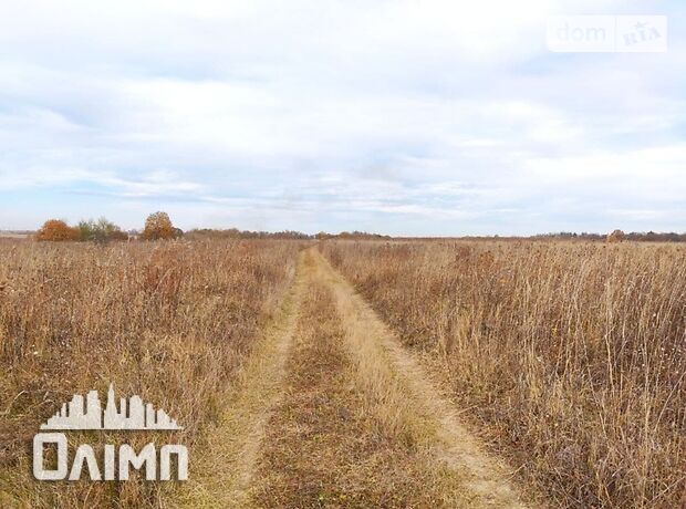Земля під житлову забудову в селі Ксаверівка, площа 14 соток фото 1 Земля під житлову забудову в селі Ксаверівка, площа 14 соток фото 1