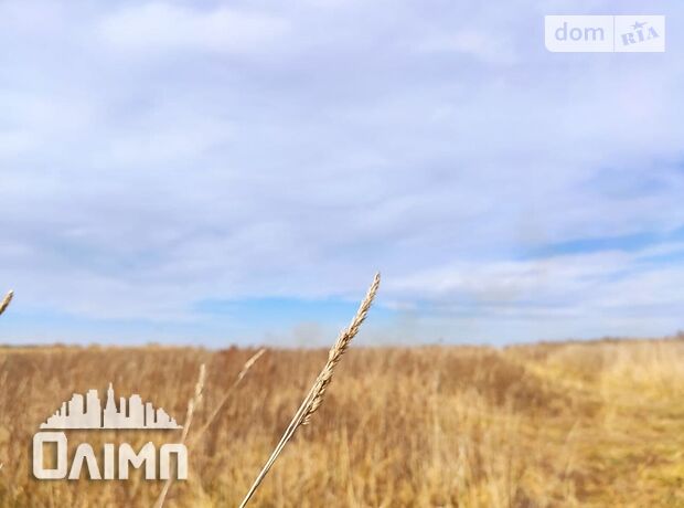 Земля під житлову забудову в селі Ксаверівка, площа 14 соток фото 1 Земля під житлову забудову в селі Ксаверівка, площа 14 соток фото 1