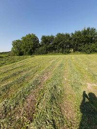 Земельна ділянка під житлову забудову в Ксаверівці, площа 10 соток фото 2