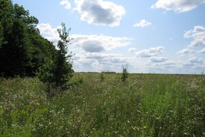 Земельна ділянка під житлову забудову в Ксаверівці, площа 20 соток фото 2