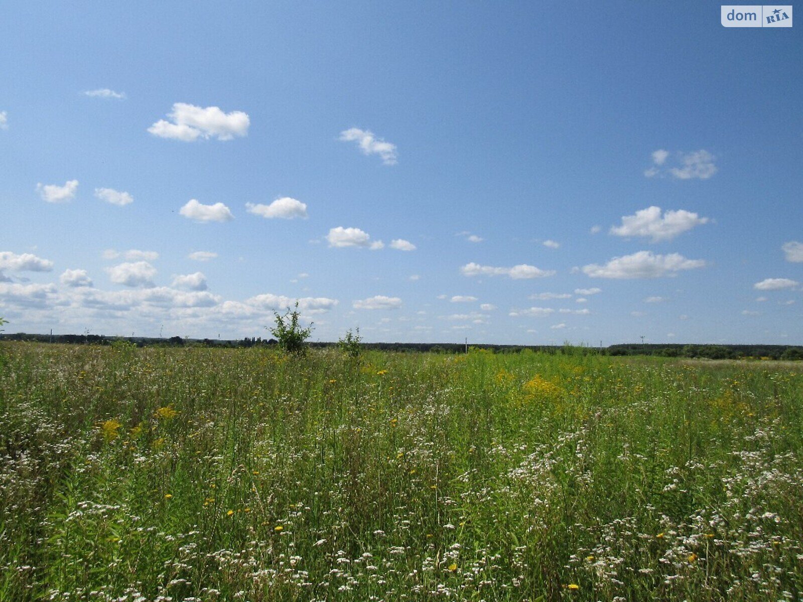 Земельна ділянка під житлову забудову в Ксаверівці, площа 20 соток фото 1