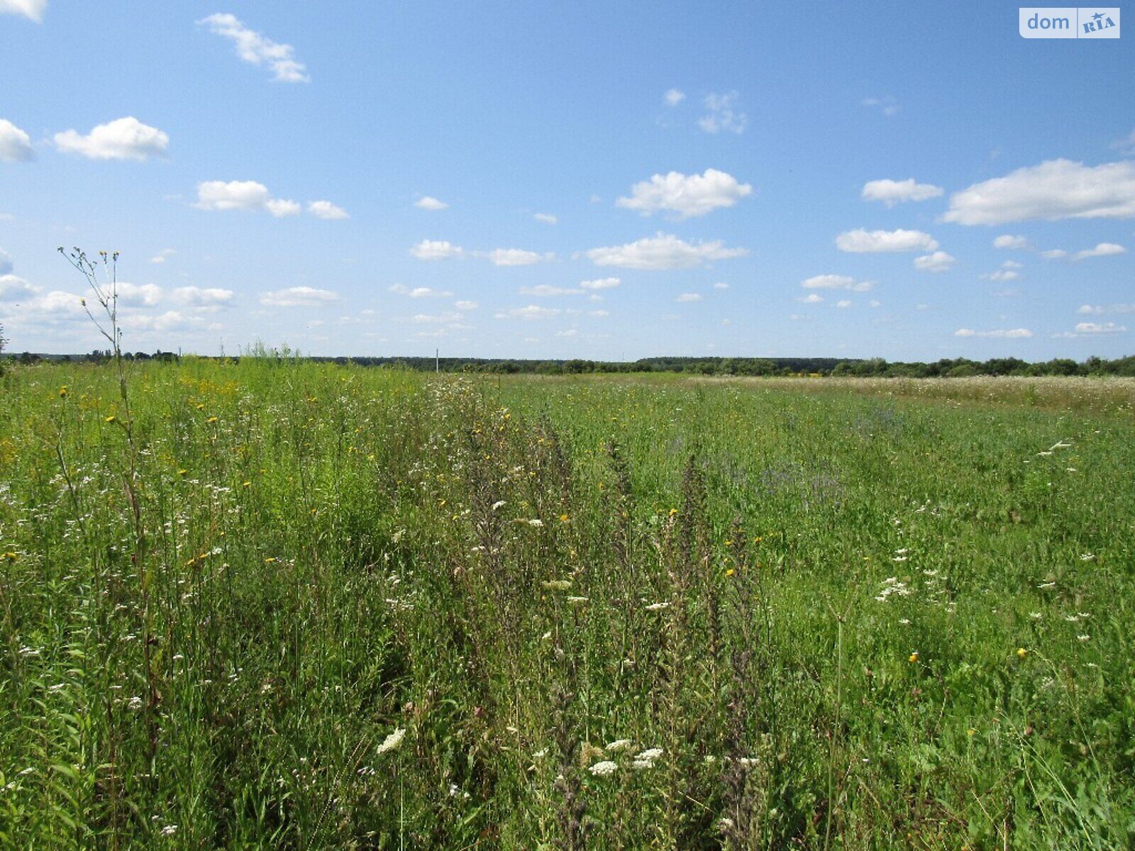 Земельна ділянка під житлову забудову в Ксаверівці, площа 20 соток фото 1