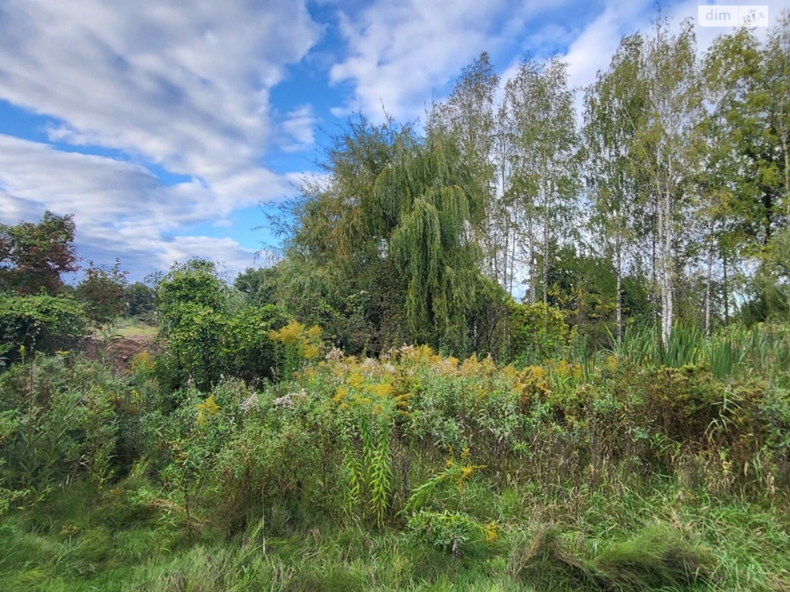 Земля під житлову забудову в Вінниці, район Ленінський, площа 37 соток фото 1 Земля під житлову забудову в Вінниці, район Ленінський, площа 37 соток фото 1