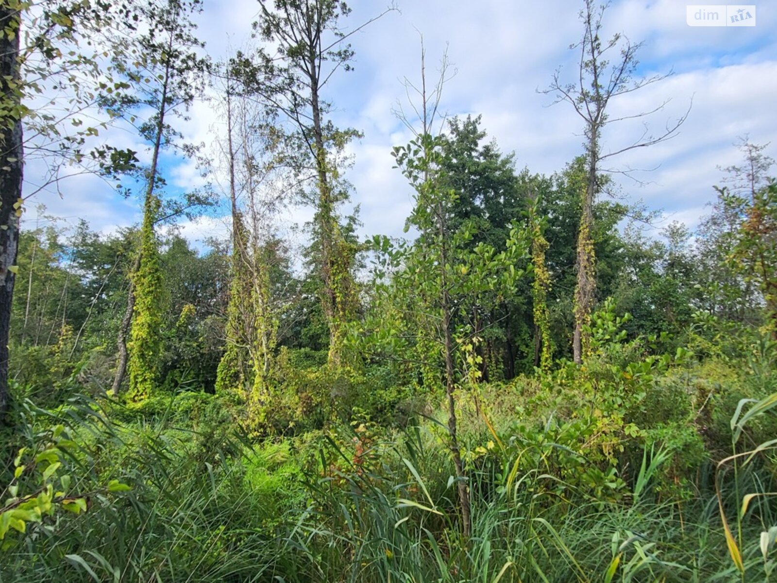 Земля під житлову забудову в Вінниці, район Ленінський, площа 37 соток фото 1 Земля під житлову забудову в Вінниці, район Ленінський, площа 37 соток фото 1