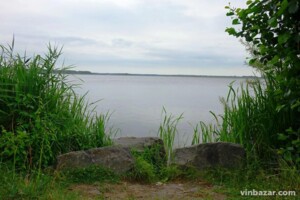 Земля під житлову забудову в Вінниці, район Ленінський, площа 12 соток фото 2