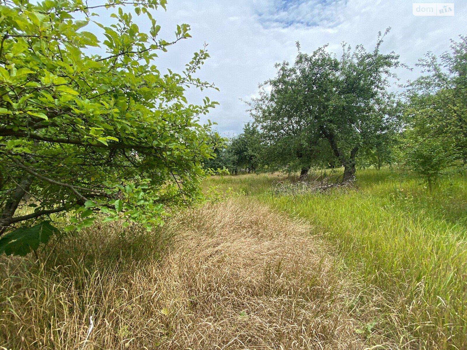 Земельна ділянка під житлову забудову в Луці-Мелешківській, площа 17 соток фото 1