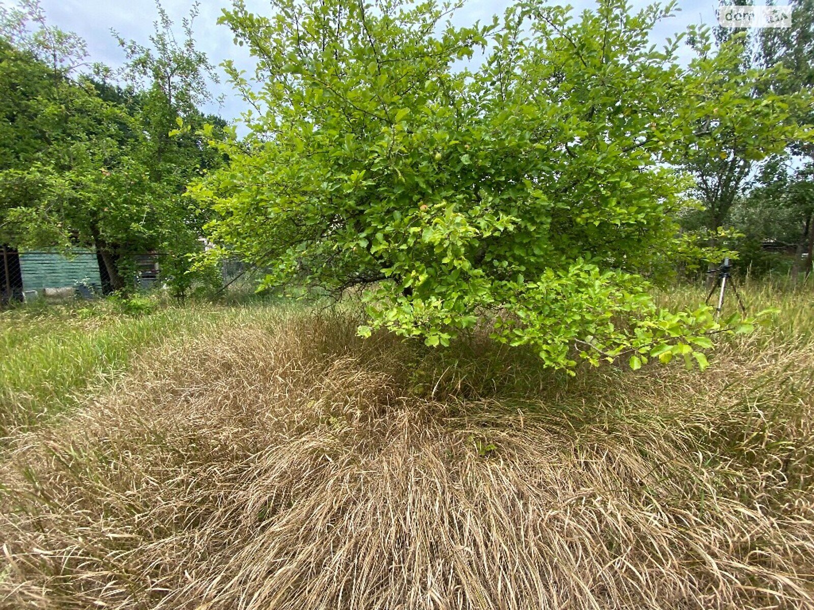 Земельна ділянка під житлову забудову в Луці-Мелешківській, площа 17 соток фото 1