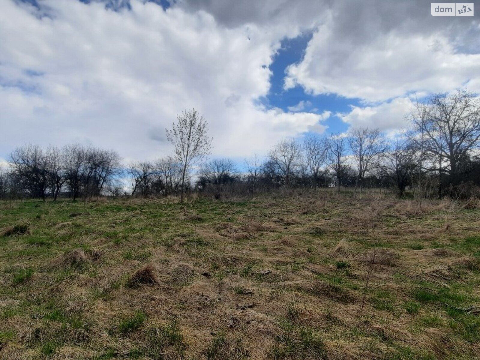 Земельна ділянка під житлову забудову в Луці-Мелешківській, площа 31 сотка фото 1