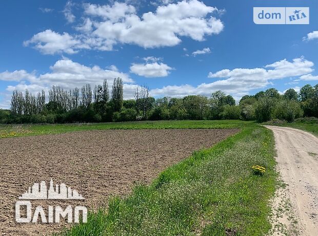 Земля під житлову забудову в селі Лука-Мелешківська, площа 15 соток фото 1 Земля під житлову забудову в селі Лука-Мелешківська, площа 15 соток фото 1