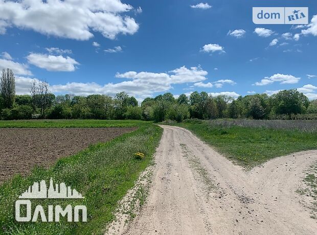Земля під житлову забудову в селі Лука-Мелешківська, площа 15 соток фото 1 Земля під житлову забудову в селі Лука-Мелешківська, площа 15 соток фото 1